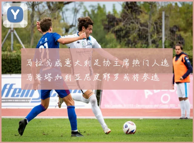 马拉戈成意大利足协主席热门人选马洛塔加利亚尼皮耶罗或将参选