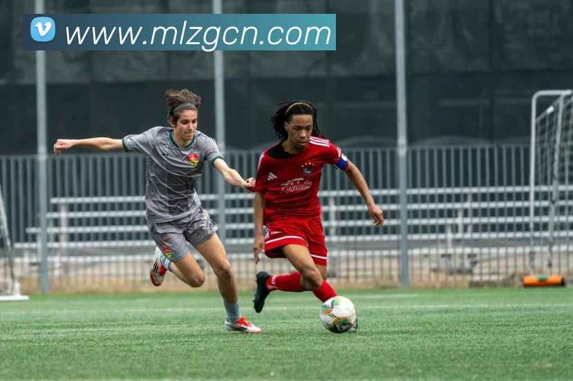 App Interface Preview